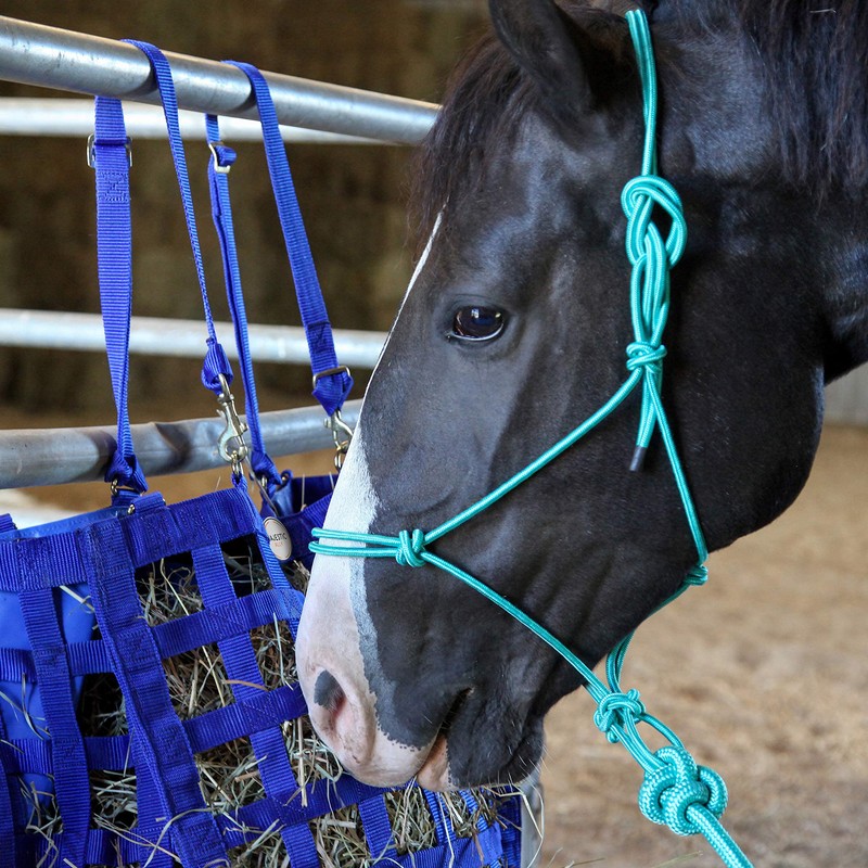 Majestic Ally 1/4" Rope 4 Knot Stiff Polyester Training Halter