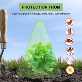 Toothbace Plant Hat, Pack of 30 PVC Plant Hats, 19 x 19 x 21 cm, Plant Protection Against Frost, Greenhouse Propagation Bell, Planting Aid, Plant Bell from Snails and Birds (Green)