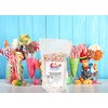 Sarah's Candy Factory Assorted Dehydrated Marshmallow Bits in Resealable Bag,