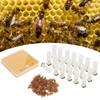 Queen Bee Rearing Box Cage Plastic Breeding Cell Cup Kit