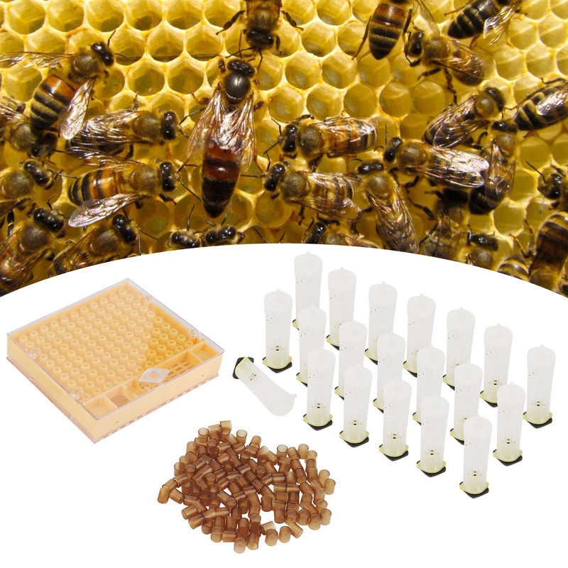 Queen Bee Rearing Box Cage Plastic Breeding Cell Cup Kit