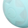 Peppy Pet Ball for Cats with Led Flash Colorful Lights