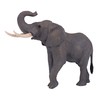 MOJO African Elephant Wildlife Animal Model Toy Figure