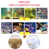 Aquarium Light, Amphibious, IP68 Waterproof, Removes Green Algae, Water Purification,