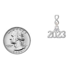 Delight Jewelry Silvertone Horizontal Year 2023 Silvertone Infinity Post Earrings