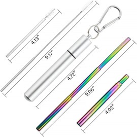 Foweroty 1 Pack Stainless Steel Straws, Reusable Straws, Travel Essentials，Metal Straws Reusable with 1 Aluminum Case, 1 Cleaning Brush, and 1 Keychains, Cruise Ship Essentials(Silver)