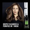 TRESemmé Replenish & Cleanse Shampoo with vitamin C, Fresh ,