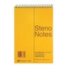 National Steno Notebook, Gregg-Ruled, Green Eye-Ease Paper, Brown Cover, 6"