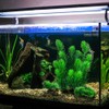 MyLifeUNIT Aquarium Plants, Artificial Aquarium Decorations for Fish Tank Decor,