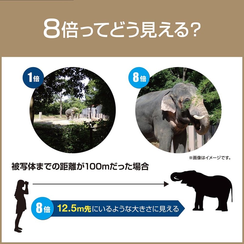 OM SYSTEM Binoculars 8x25 Small Lightweight Waterproof Green 8X25WP II