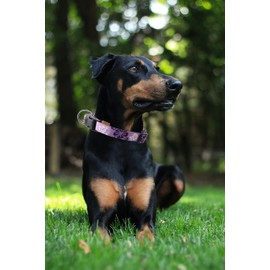 Aiminto Dog Collar, Cute Floral Pattern, Neoprene Padded and Adjustable Collar with Quick Release Buckle, Reinforced Structure (L (Neck 18-28", Width 1"), Hawaiian Purple)