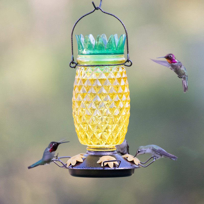 Perky-Pet 9110-2 Pineapple Top-Fill Glass Hummingbird Feeder – 28 oz