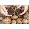 Garlicious Grown Australia Black garlic unpeeled 50g