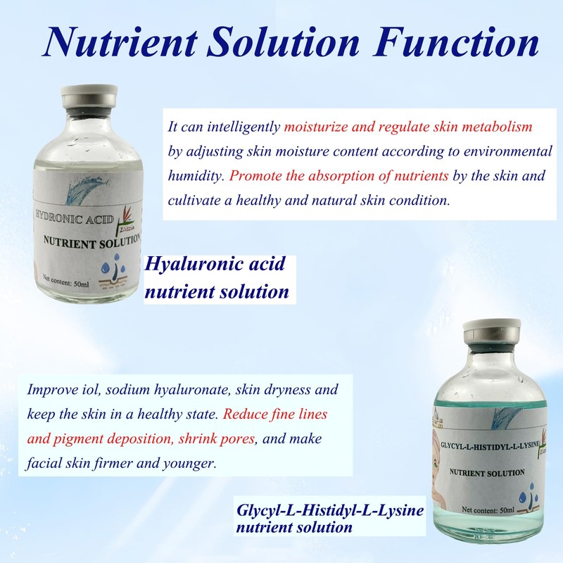 Eitzia Oxygen Infusion Device Professional Oxygen Facial Appliance Nutrient Solution