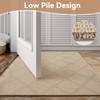 QiCaiJia 2x4 Entryway Area Rugs, Washable Kitchen Rug, Low-Pile Small