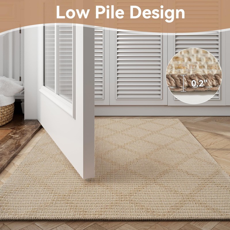 QiCaiJia 2x4 Entryway Area Rugs, Washable Kitchen Rug, Low-Pile Small
