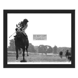 SECRETARIAT RACEHORSE RON TURCOTTE WINNING 1973 BELMONT 8X10 FRAMED PHOTO