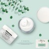 Diva T-White Anti-Aging Cream Skin Wrinkle Improvement Cosmetic 50ml /