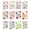 Stamford 37351 Floral Variety Set Incense Cones-12 Packs x 15 Cones, Black, One Size