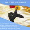 DOL Wild Caught,Sun Dried Atlantic Black Pin Sea Cucumber All