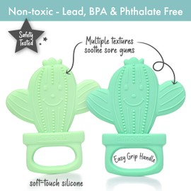 PrimaStella Silicone Cactus Teethers for Infants, Babies and Toddlers - Safety Tested - BPA Free - Cute, Soothing, Easy to Hold - Baby Teether Toy Set of 2 - Green & Neo Mint