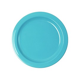 WACA 1947 Plastic Plate Diameter 241 mm Colour: Light Blue