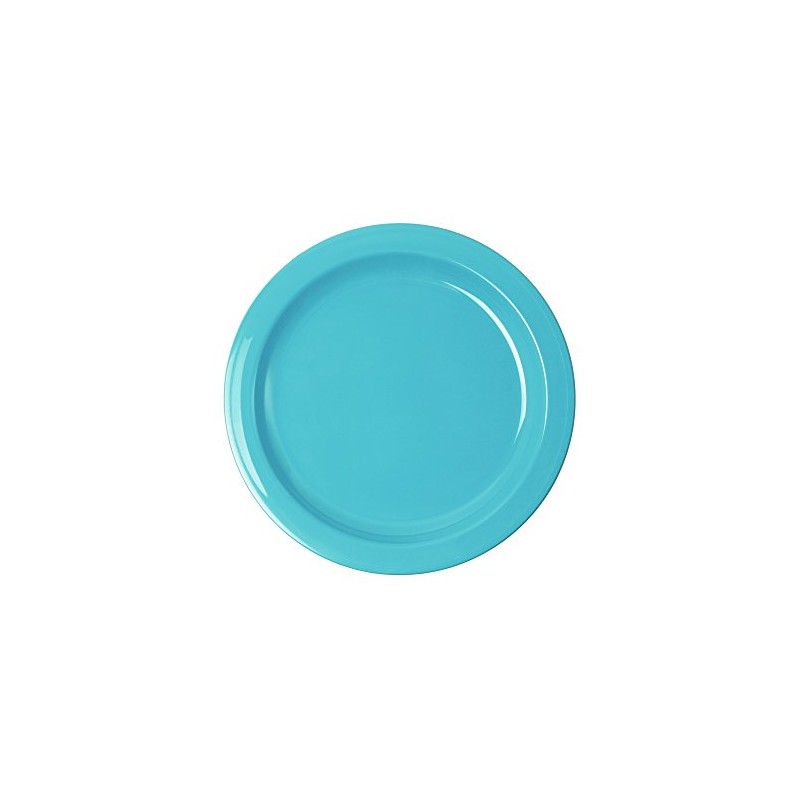 WACA 1947 Plastic Plate Diameter 241 mm Colour: Light Blue