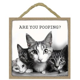 Are You Pooping? Funny Cat Themed Bathroom Sign, 5 x 5 inch – Wooden Rustic Cabin Decor Sign with Twine Rope & Retractable Easel, Stand or Hang to Display Black and White Bathroom Art (66355)