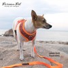 Parisian Pet Dog Harness - Adjustable Orange/Blue Puppy Harness -