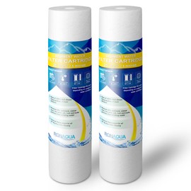 Big Sediment Replacement Water Filters 5 Micron 4.5”x20" Cartridges WELL-MATCHED with 155358-43, 2PP20BB1M, AP810-2, FPMB-BB5-20, FP25B, P5-20BB, SDC-45-2005 (2 Pack, 20")