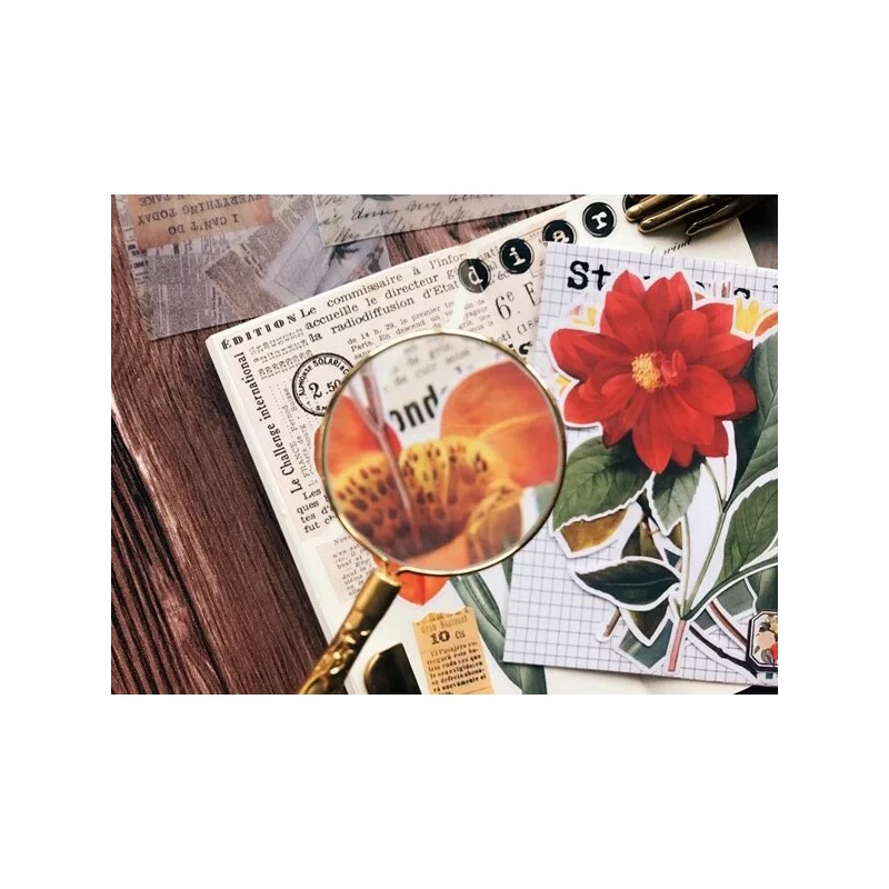 Unbranded floral flower botanical themed Decorative Stickers, 6pcs/pack Y06 Y06-L
