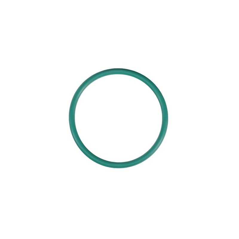 O-Ring Dichtung OR 155 Viton Siebträgerdichtung kompatibel für Quick Mill