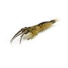 KTGCOZS Pack of 10 2.75" Shrimp Lures Soft Plastic Bait