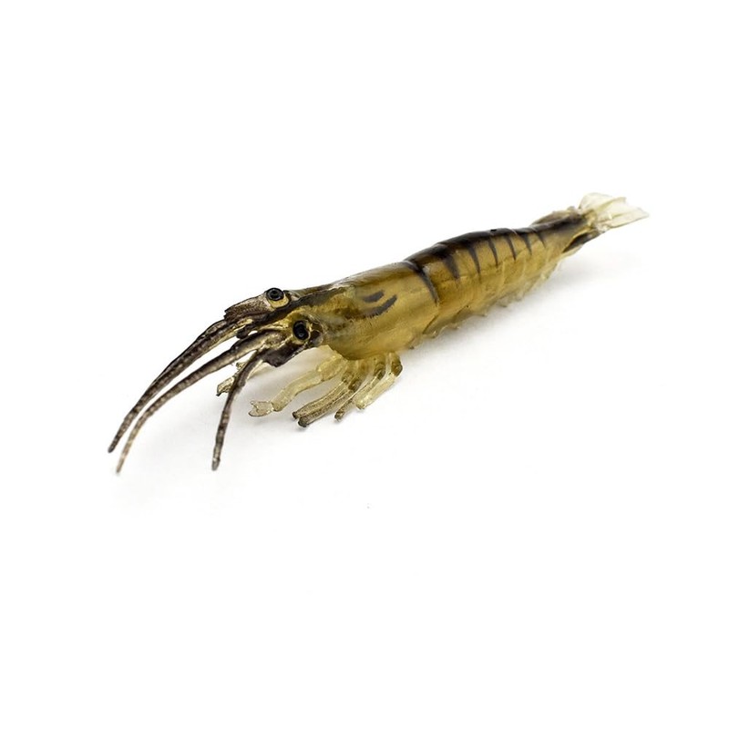 KTGCOZS Pack of 10 2.75" Shrimp Lures Soft Plastic Bait