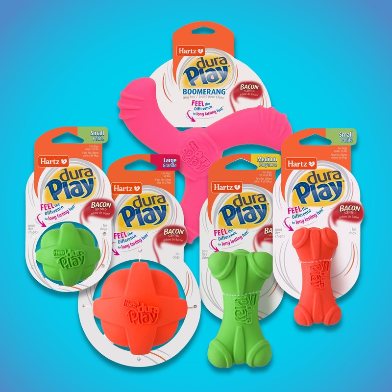 Hartz DuraPlay Bacon Scented Dog Toys, Large 1 Count, Colors