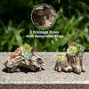 Aclema Succulent Planters Driftwood Planter Succulent Pots Small Plant Flower