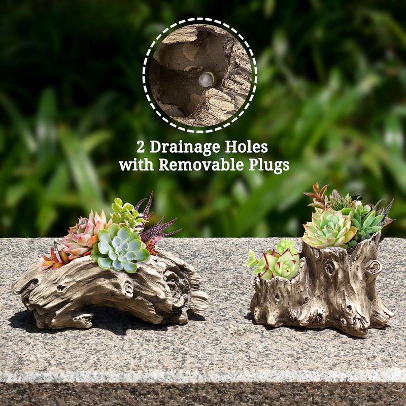 Aclema Succulent Planters Driftwood Planter Succulent Pots Small Plant Flower