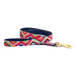 A Tail We Could Wag Dog Leash - Handmade Guatemalan Cotton Weave with Colorful Patterns & Solid Brass Snap | Retro, 1/2" X 4'