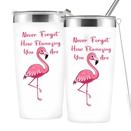 Flamingo Gifts for Women - Christmas Gifts for Flamingo Lover Birthday,Mothers Day,Valentines Day Gifts for Her 20oz Stainless Steel Flamingo Tumbler Never Forget How Flamazing You Are