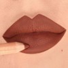 Astra Pure Beauty Lipstick (03 - MAPLE)