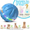 Bolpetizo Dog Toys Dog Ball, Durable Motion Active Rolling Balls