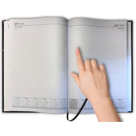 PaulStore 2026 A4 | A5 | A6 Diary Week to View | Page A Day | Desk Diary | Hard Backed For Home And Office Use (Blue, A4 Day A Page)