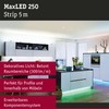 Paulmann MaxLED 250 Stripe 5 m RGBW IP20 31 W