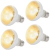 CALPALMY (4-Pack 100W Reptile Heat Lamp Bulbs - UVA Daylight