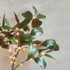 Hairui Lighted Magnolia Tree 4FT 165 LED Fairy Lights, Faux