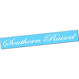 SOUTHERN RAISED 42" Windshield Brow VINYL DECAL Sticker Diesel Truck Car South