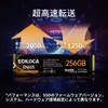 EDILOCA EN605 SSD 256GB PCIe Gen 3.0x4 NVMe1.3 M.2 2280