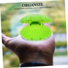 MAGICLULU 10Pcs Boxes Shell Shaped Candy Boxes Decorative Party Favor