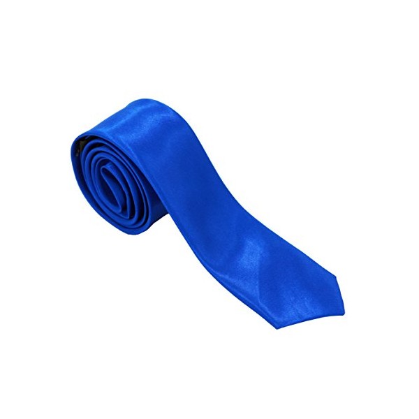 Men's Silky Slim Novelty Necktie by Corner4Shop (Royal Blue)