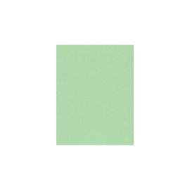 LUXPaper 8.5" x 11" Cardstock | Letter Size | Pastel Green | 65lb. Cover | 50 Qty